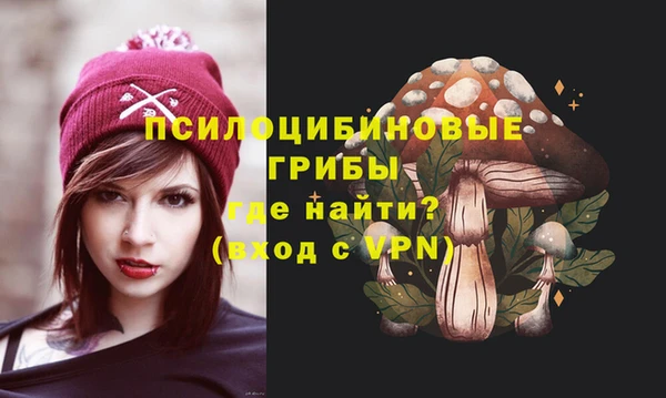 гидра Лиски